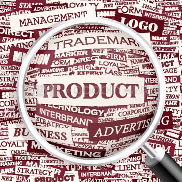 網絡技術服務 數字化時代的引擎與基石